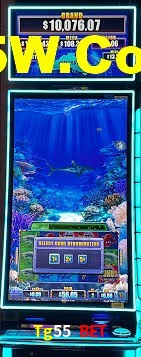 Spaceman Game Tg55 Bet